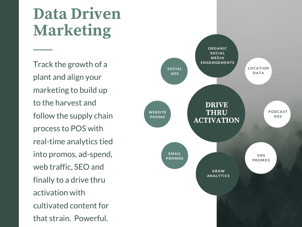 Data Driven Marketing for Cannabis by ACTIVATE showing real-time analytics and engagement methods.